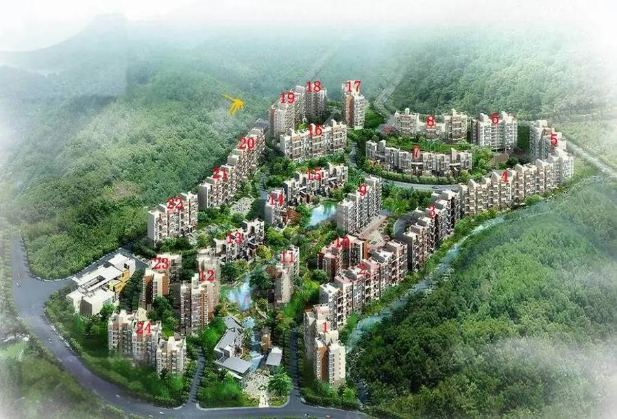 深圳法拍房最新房源,8折开拍梧桐山半山景观洋房