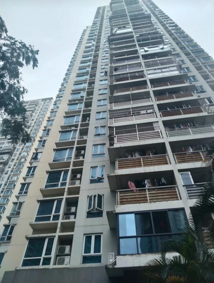 南山区法拍房最新消息，8折起拍桃源村房产可捡漏122万