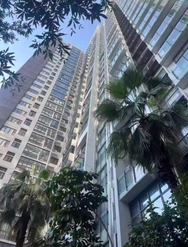 2024年最后一天冲刺，捡漏之王深圳宝安法拍房，华盛新沙荟名庭打79折！